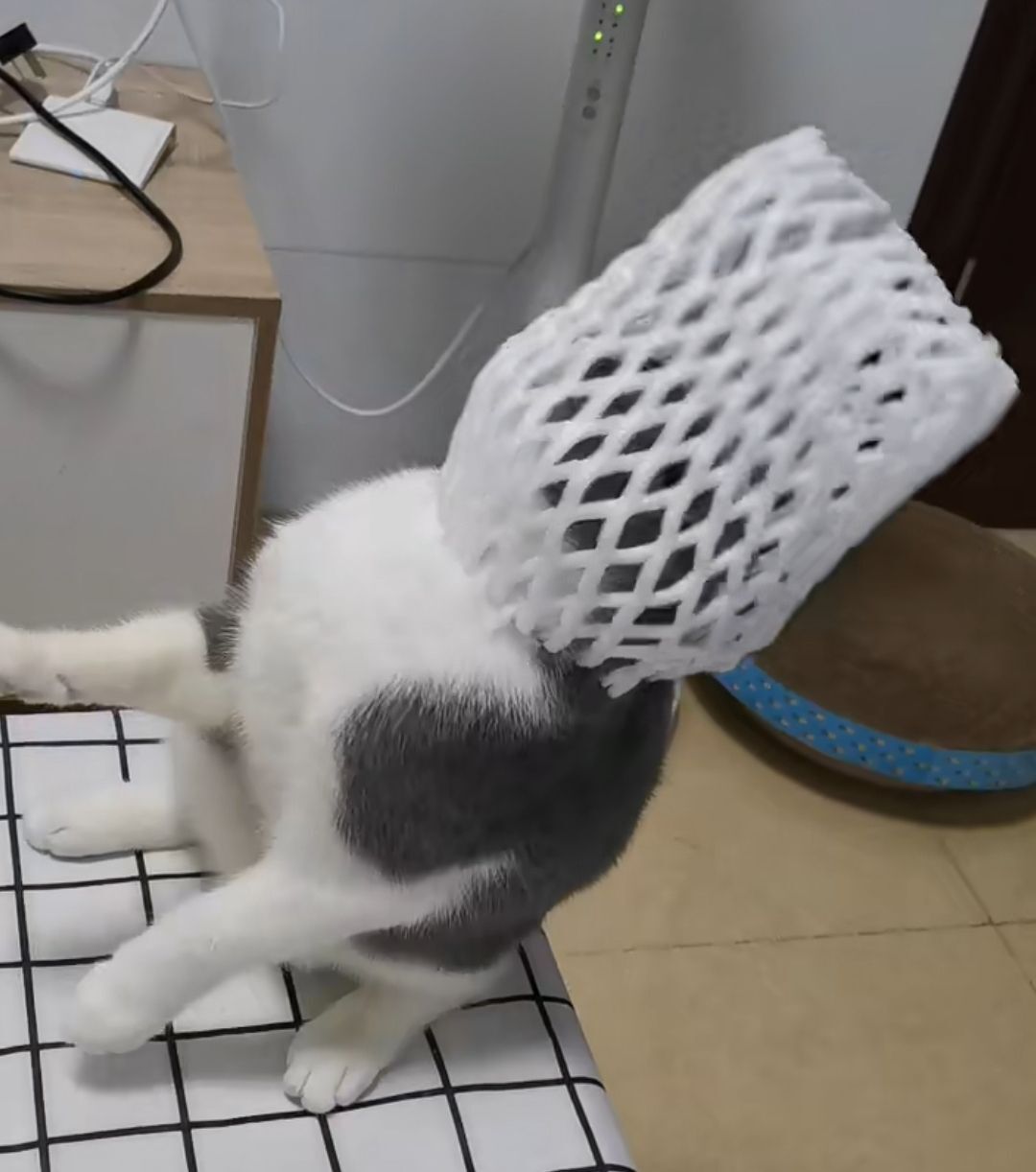小黄黄黄黄黄.的图片