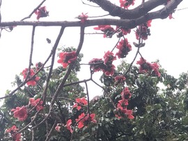 星宇🌟主播照片