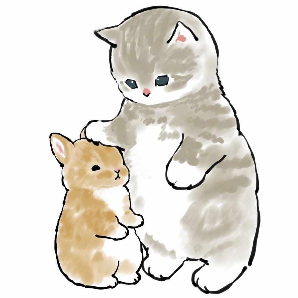 胖胖胖胖、胖达的主播照片