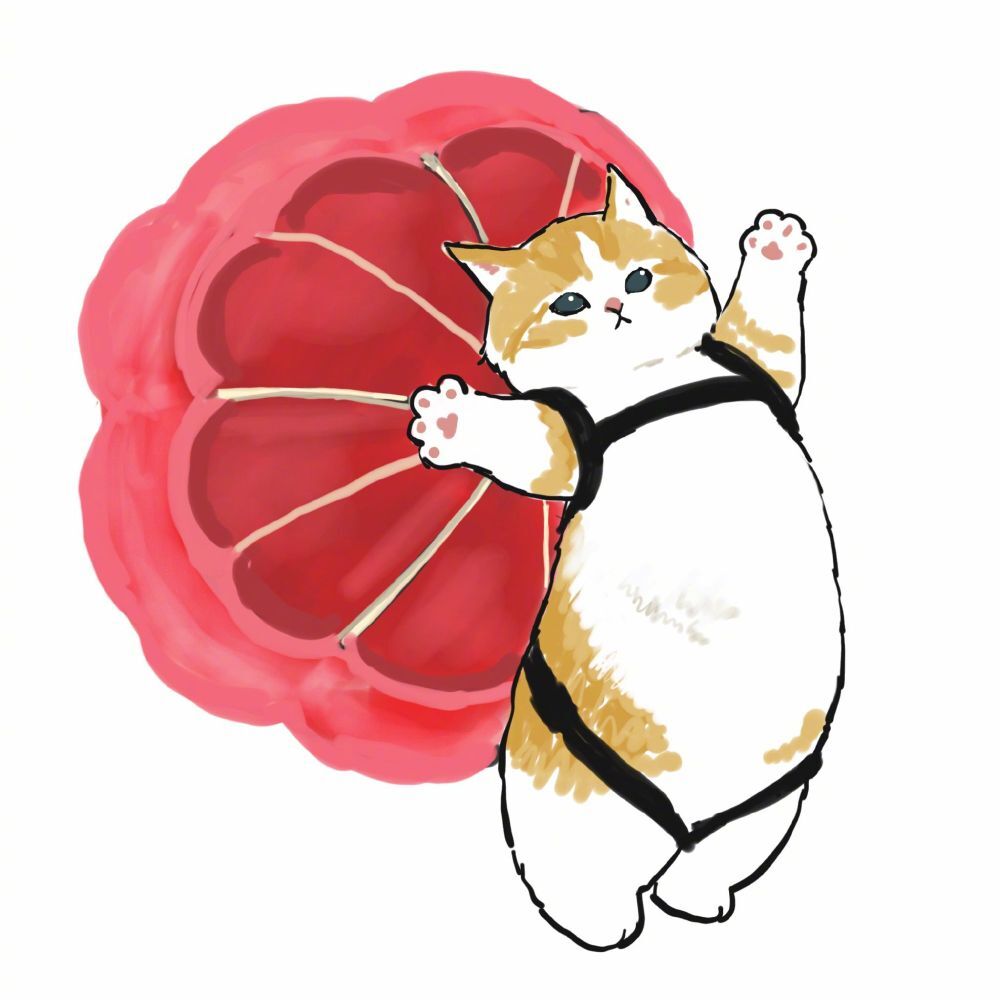 胖胖胖胖、胖达的主播照片