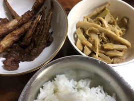 小海屯🐬李主播照片