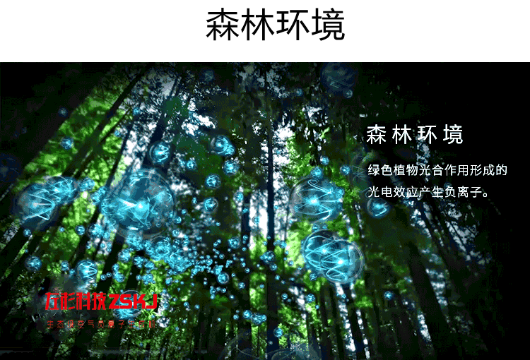 @东厂金龙@照片的图片