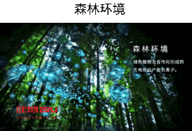 @东厂金龙@照片主播照片