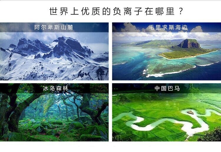 @东厂金龙@照片的图片