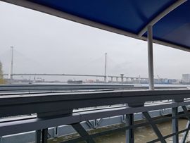 大军带你游玩上海主播照片