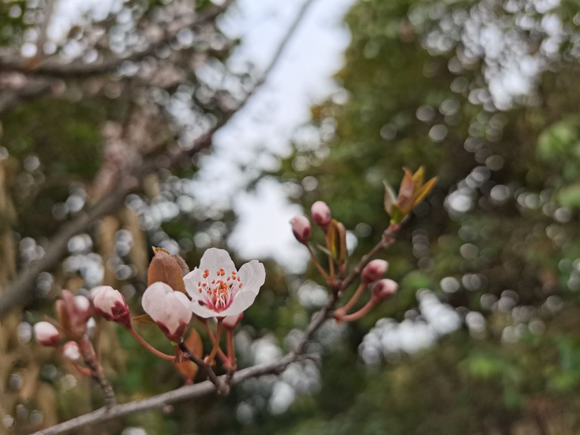 虹宝❣️的图片