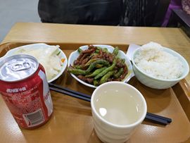 大军带你游玩上海主播照片
