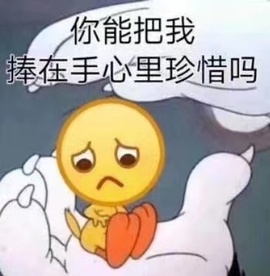 苏苏16号周年庆典的图片