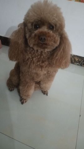 爱笑🌺好运常伴左右主播照片