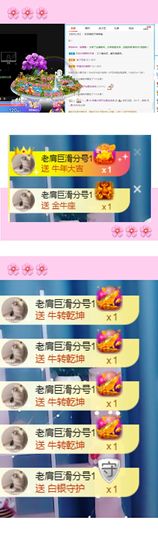 妮妮尔雅主播照片