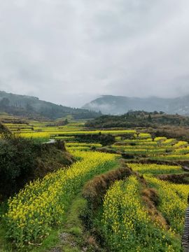 媛小柚主播照片