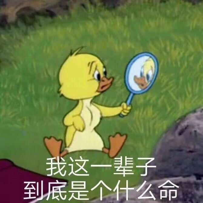 九儿暂休的主播照片