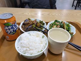 大军带你游玩上海主播照片