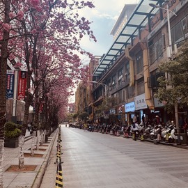 参会人数主播照片