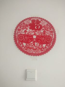 梦落梧桐主播照片