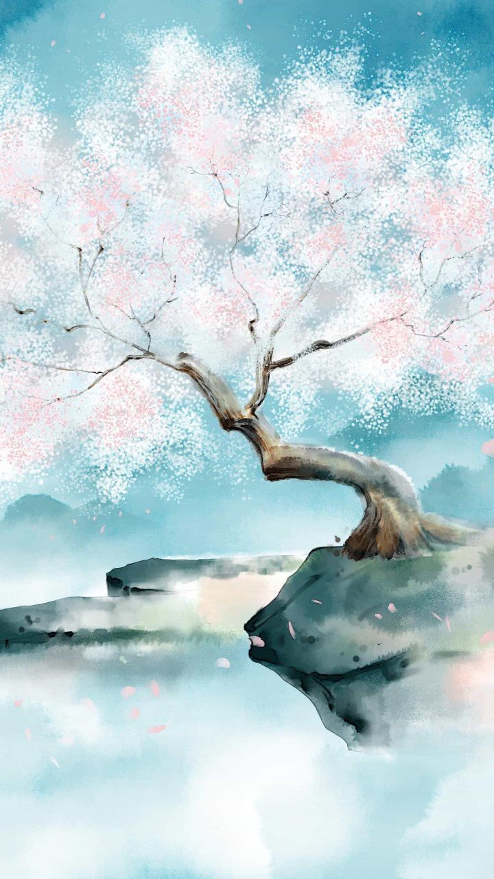 m萍儿主播照片