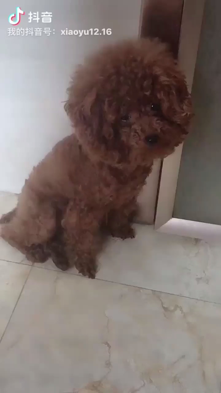 😄😄