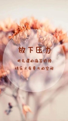 D.小狐狸主播照片