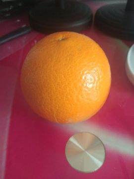 梦落梧桐主播照片