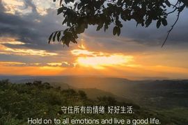 馨小艺🎀主播照片