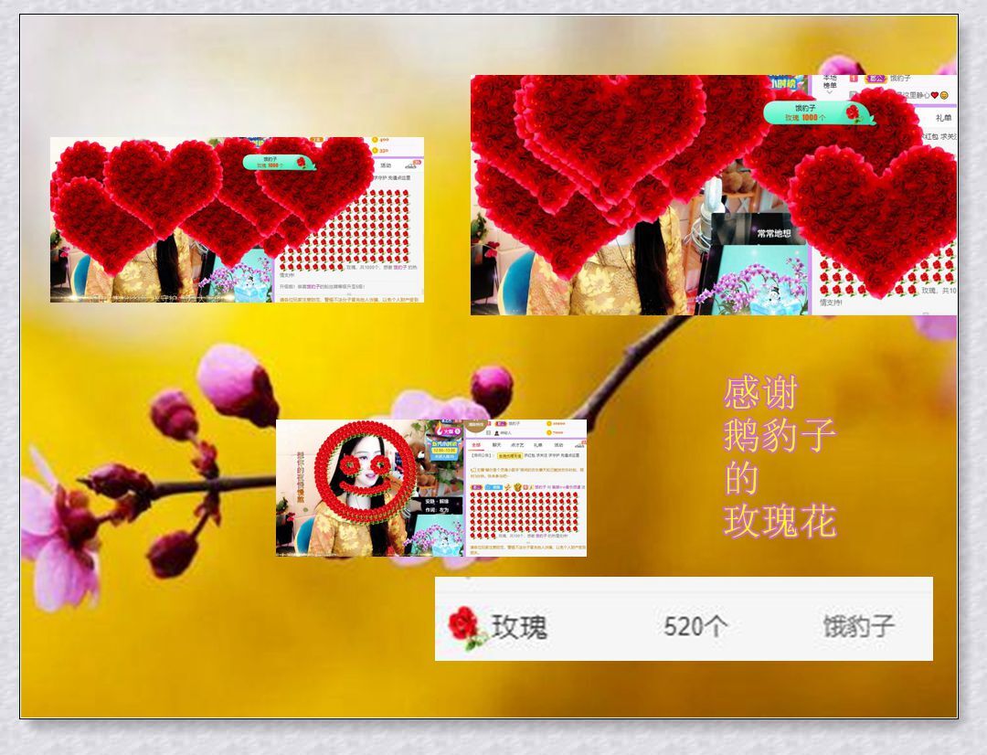 紫薇☆☆音乐频道的图片