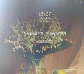 叶子众筹升5主播照片