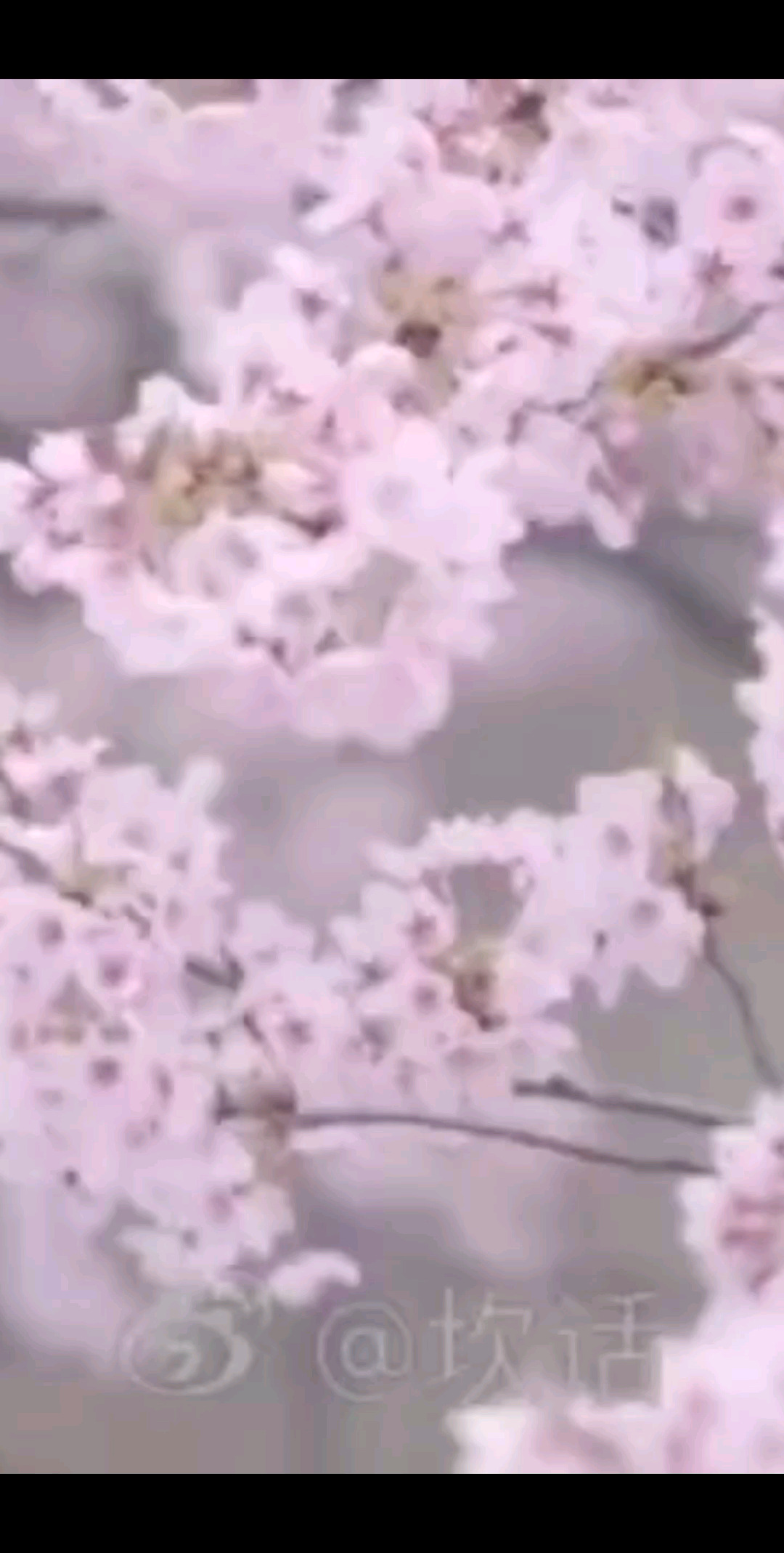 接纳孤独，保持清醒和