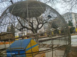 ╰╮玲珑╭╯主播照片