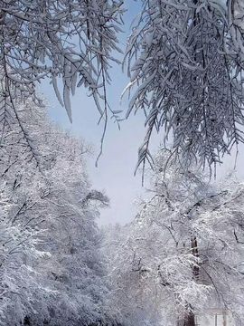 不弃芳华主播照片