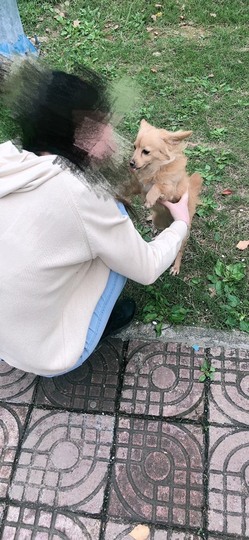 蓝小莓小朋友主播照片