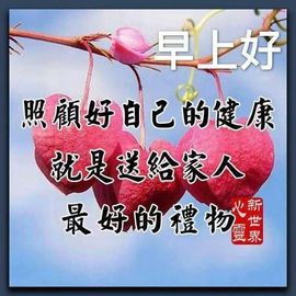 龙菲菲越来越好主播照片