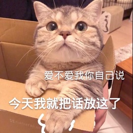 鑫儿～主播照片