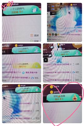 *菜园子*主播照片
