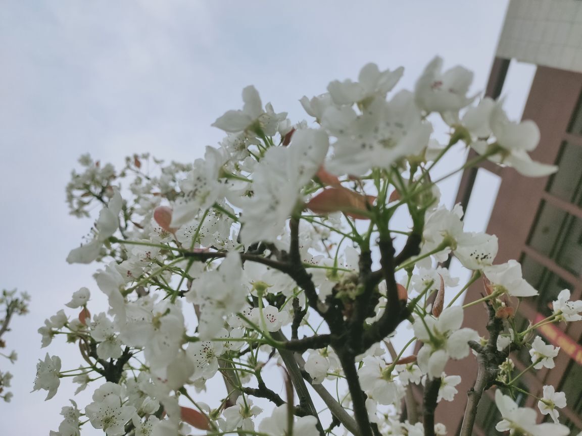 婷婷💕求过月底任务的图片