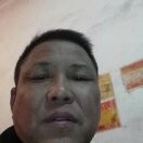 查文良北方的狼