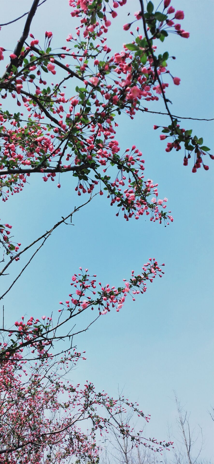 婷婷💕求过月底任务的图片