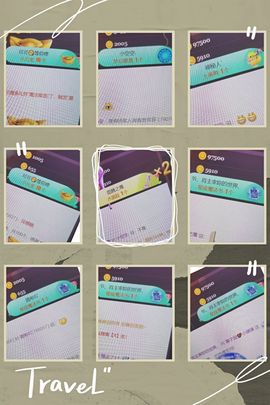 *菜园子*主播照片