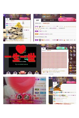 *菜园子*主播照片