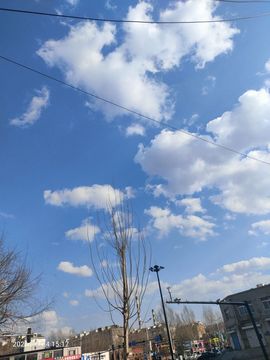 ╰╮玲珑╭╯主播照片