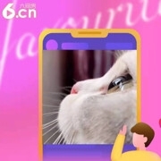 襄龙俊哥的主播照片