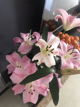 🌻ℱ七-安静唱歌主播照片