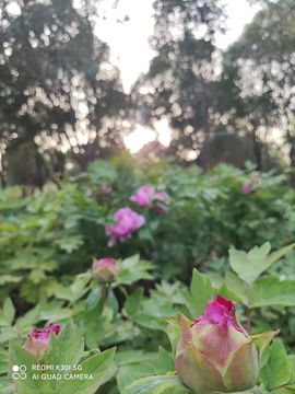 小阿琳🎶主播照片