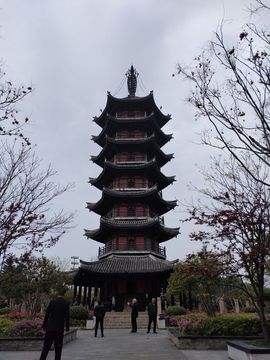 广西玲玲🌻的图片