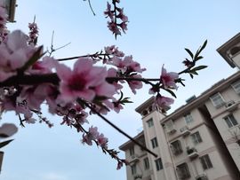 虹宝❣唱歌晚11点主播照片