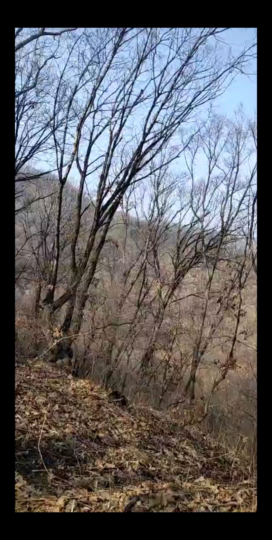美女爬山累的不行了哈