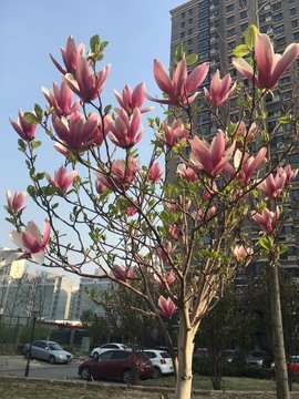 社会💞夭夭（退）主播照片