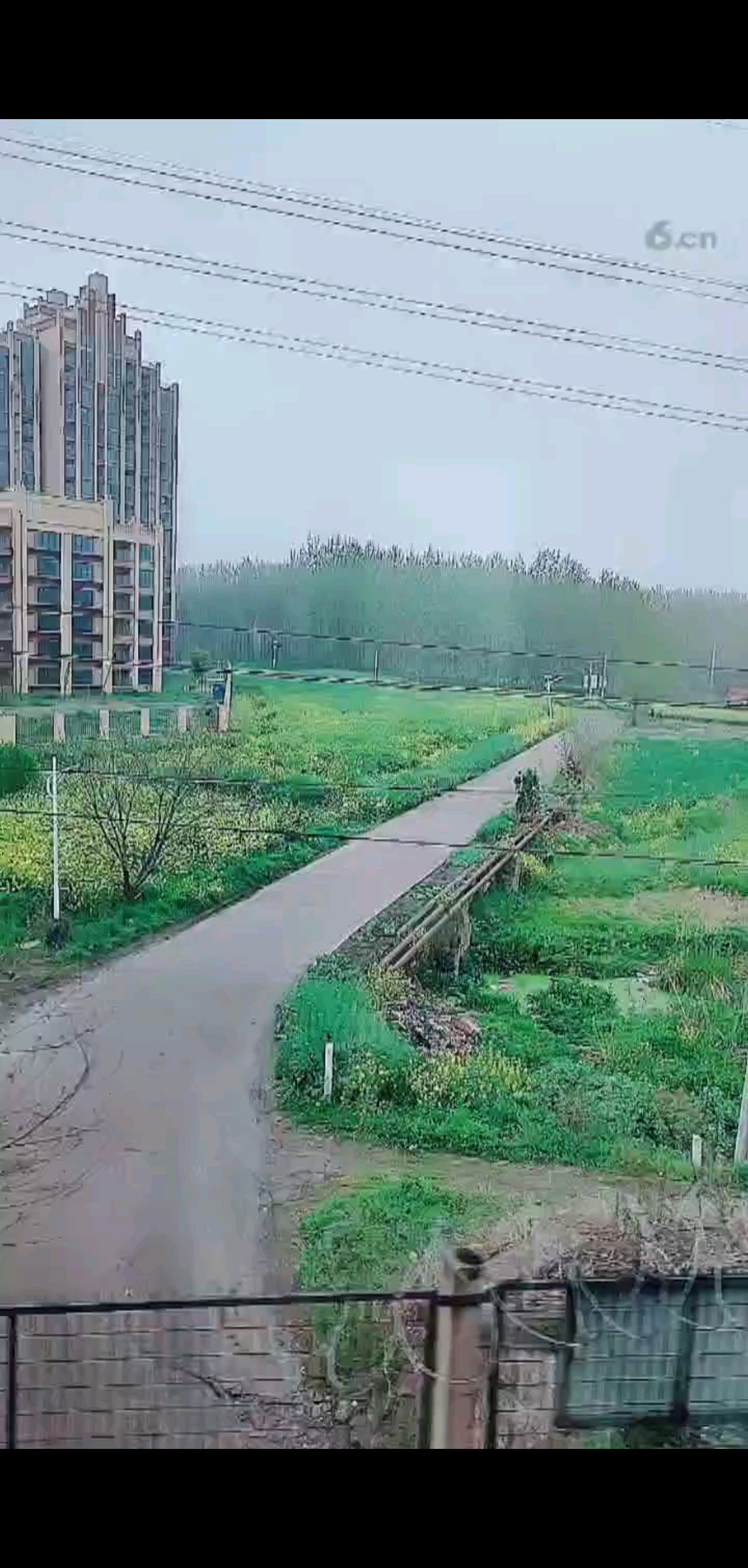 感谢一路有你陪伴