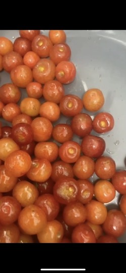 我抽抽抽抽抽没人爱的图片
