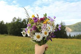 笑笑暂退主播照片