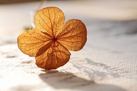 🍀风壁之路一起走主播照片